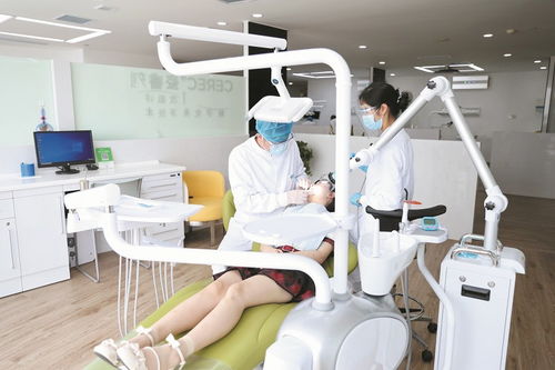 視力矯正 整形美容 口腔診療